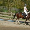 Babie Lato 2016